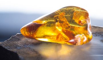 Guide to Amber Gemstones: Properties, Meanings, and Uses — Fierce Lynx  Designs