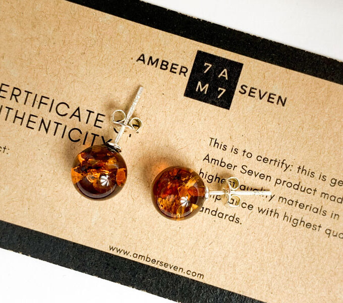 baltic amber studs