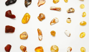 Colours of Amber: The Beauty and Diversity of a Timeless Gemstone